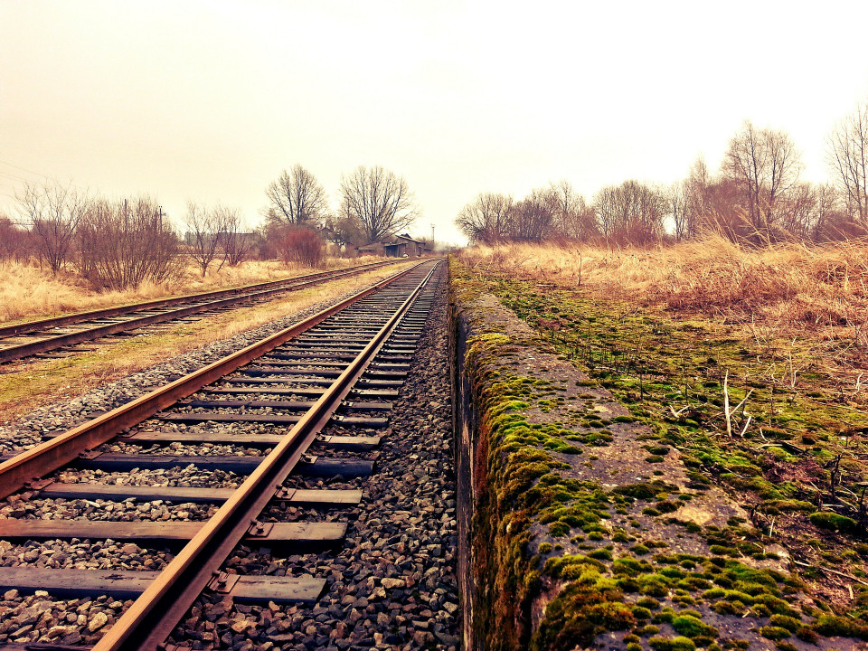Links am Bild liegen zwei Gleise, denen man ansieht, dass ie lange nicht mehr genutzt wurden. Rechts eine vermooste Bahnsteigkante. Foto: Contecondo, pixabay