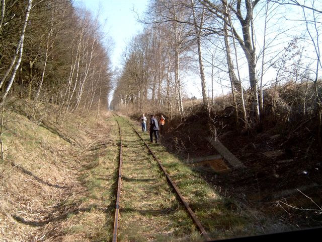 Gleis im Einschnitt auf der Jeetzeltalbahn. Links und rechts stehen Bäume, 3 Personen kontrollieren das Gleis